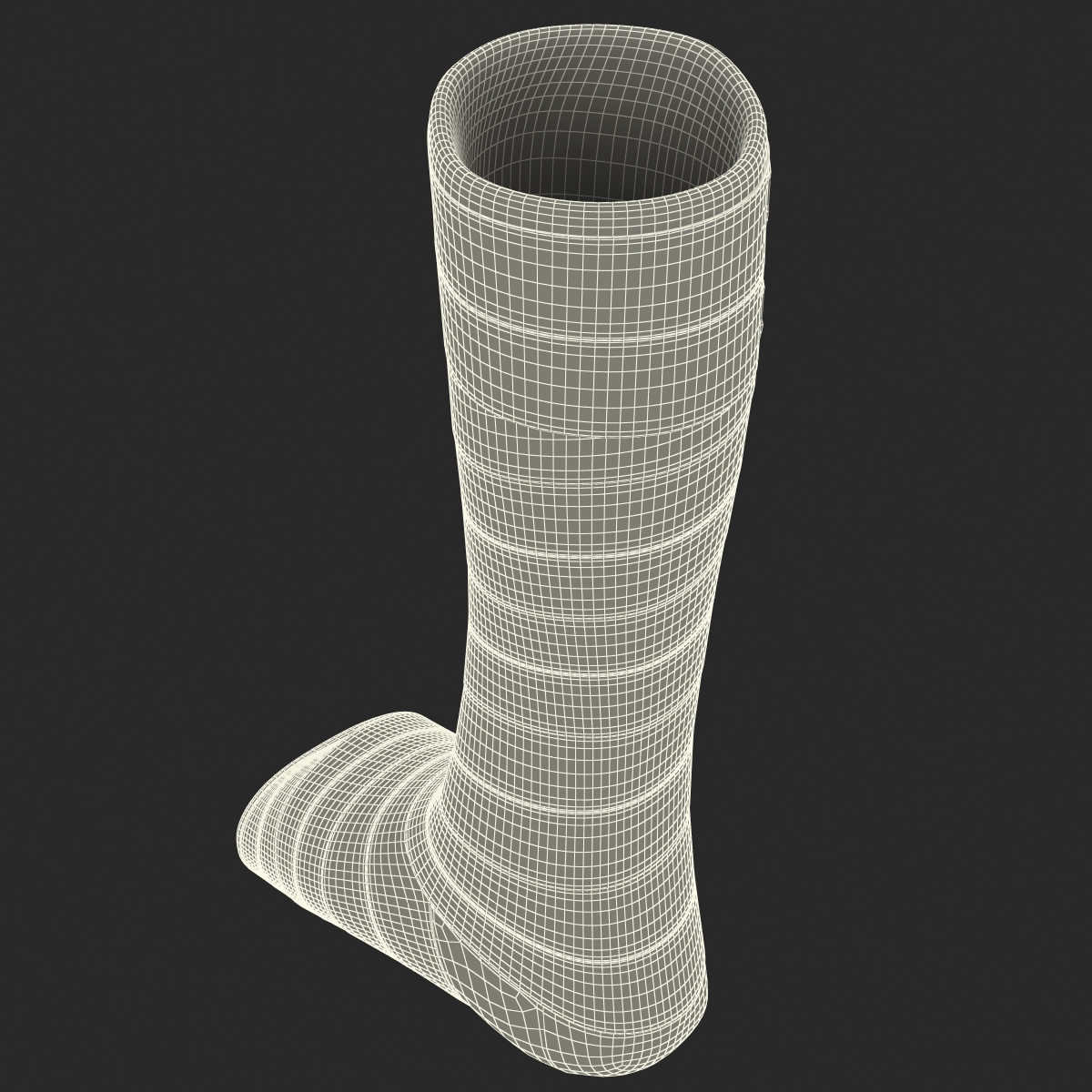 Orthopedic Cast Leg 3D model