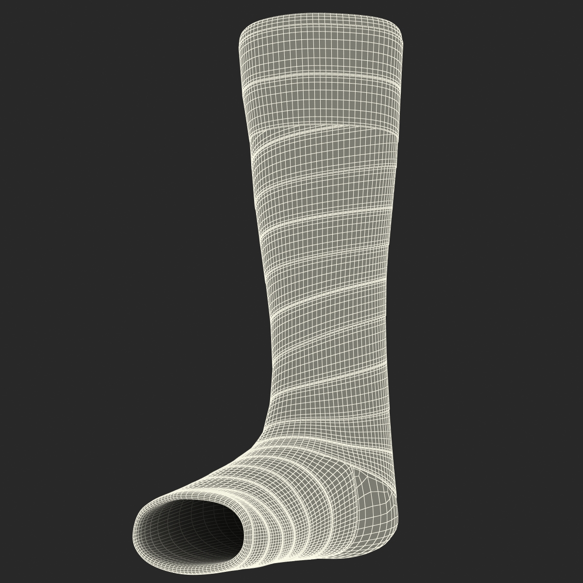 Orthopedic Cast Leg 3D model