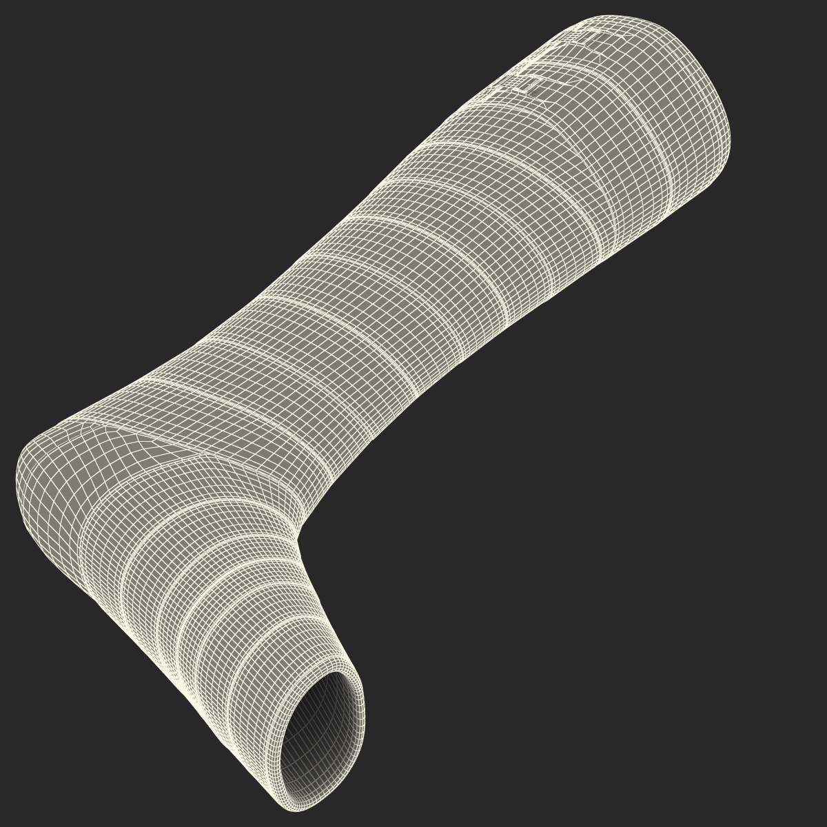 Orthopedic Cast Leg 3D model