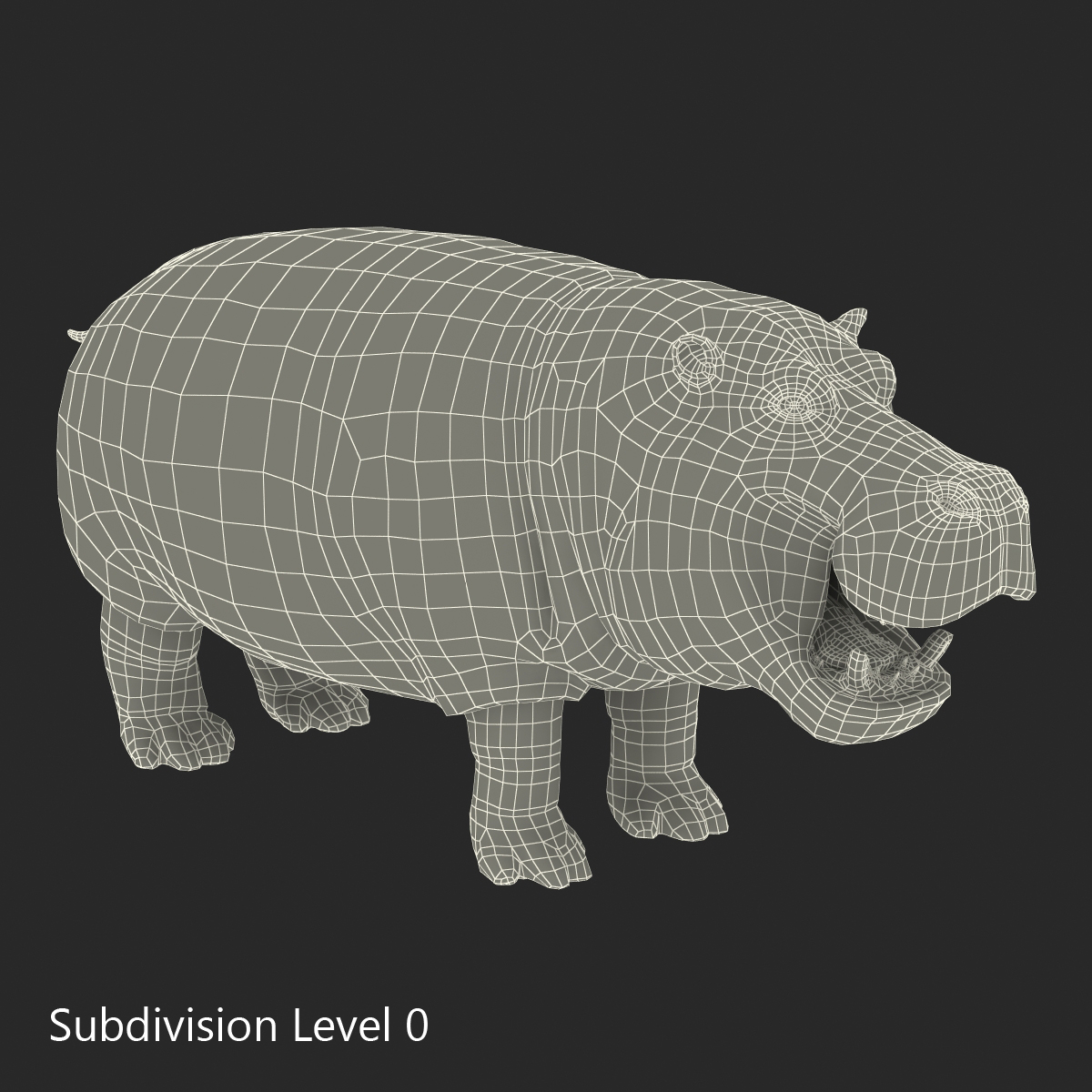 3D Hippopotamus Rigged with Fur model