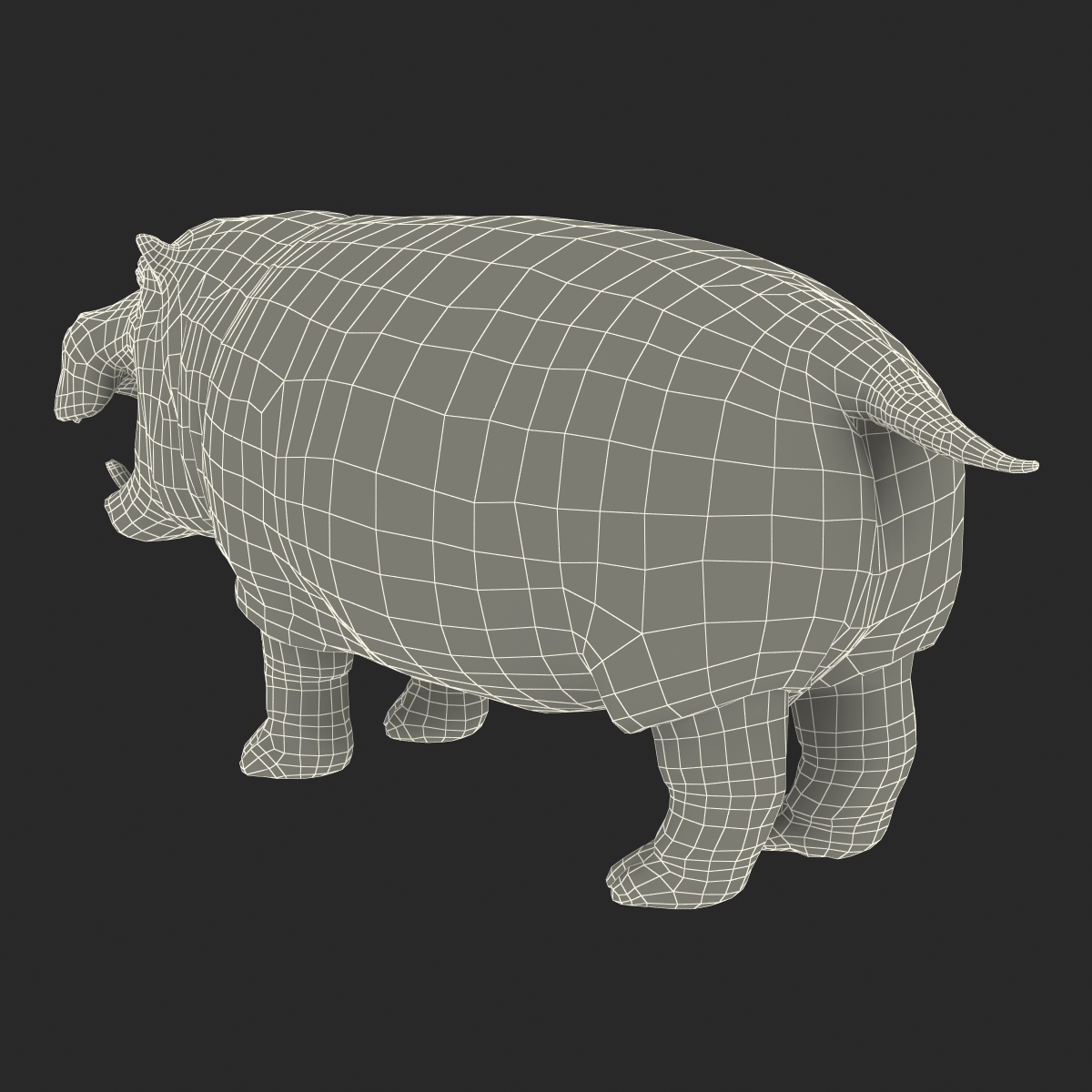 3D Hippopotamus Rigged with Fur model