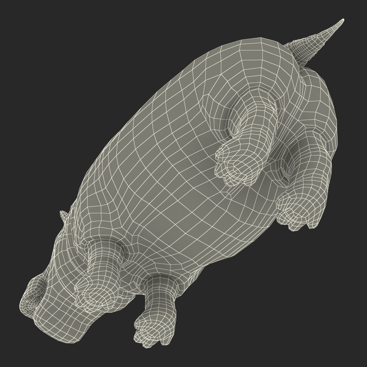 3D Hippopotamus Rigged with Fur model