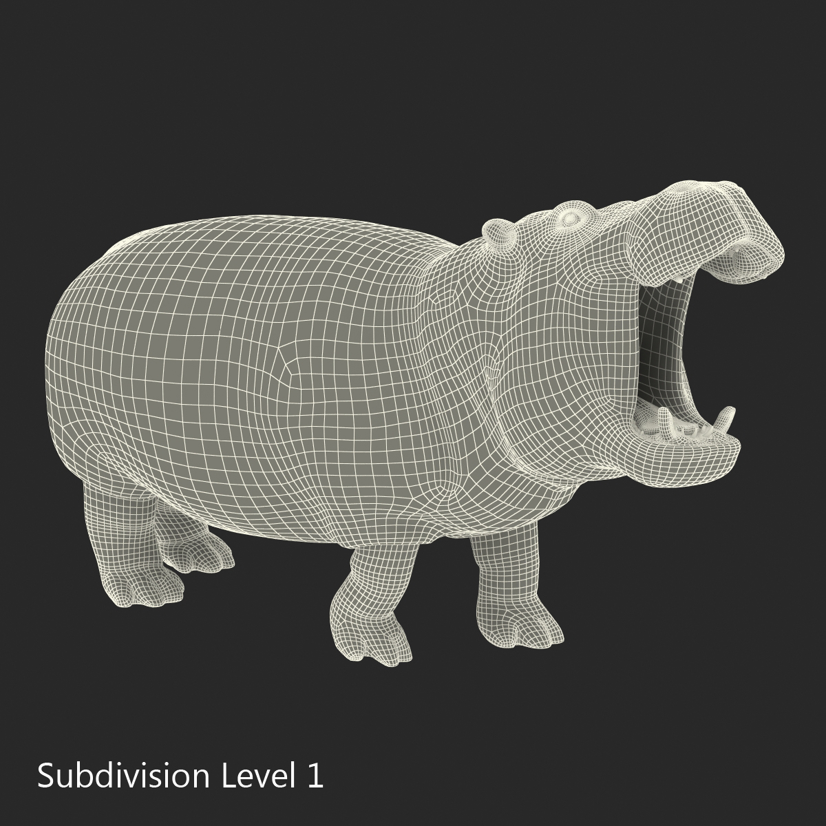 3D Hippopotamus Pose 2 with Fur model