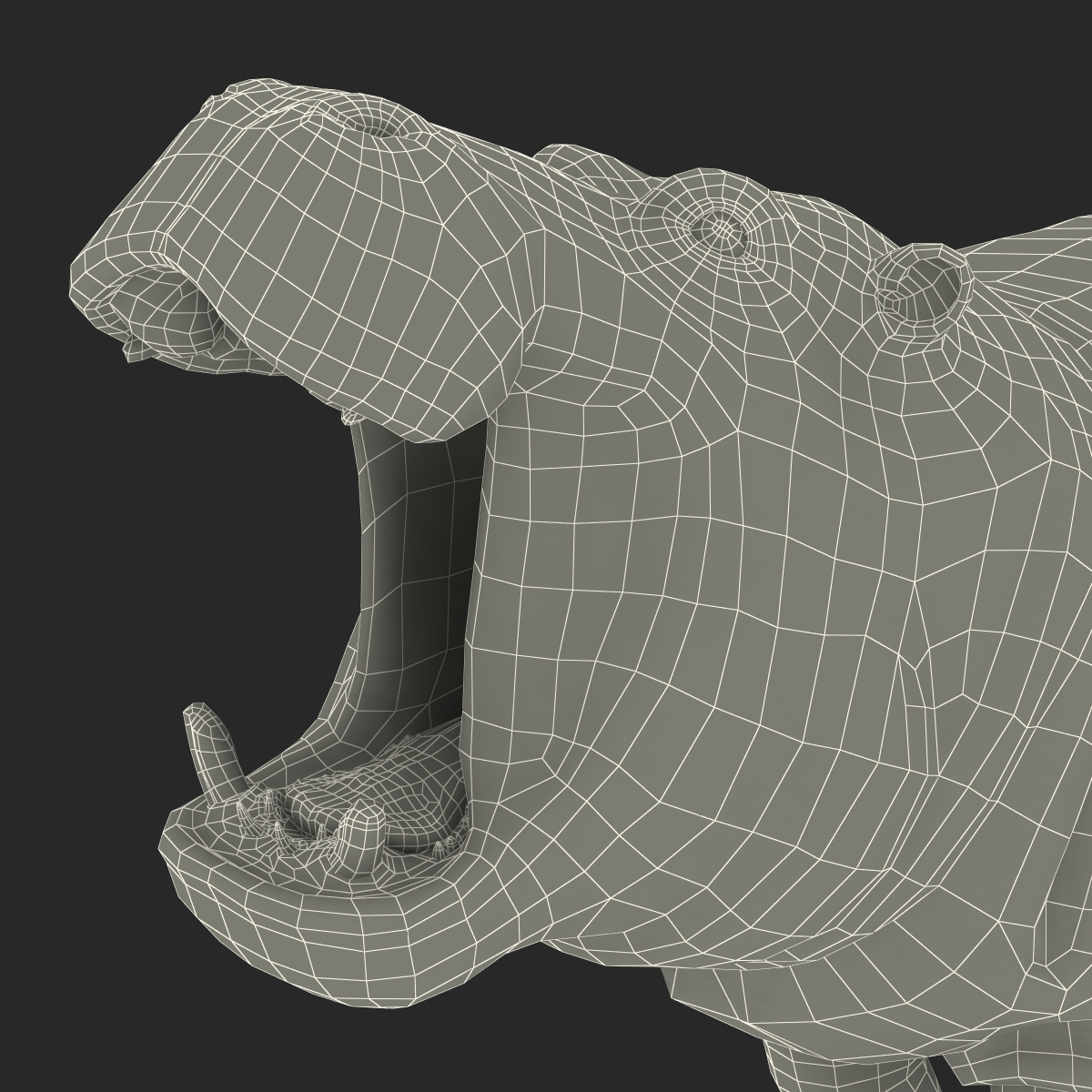 3D Hippopotamus Pose 2 with Fur model