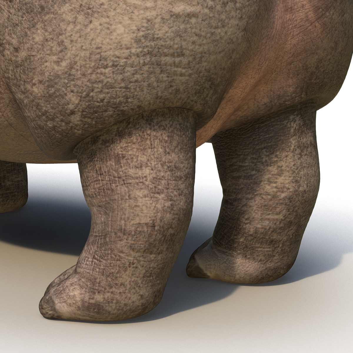 Hippopotamus Rigged 3D model