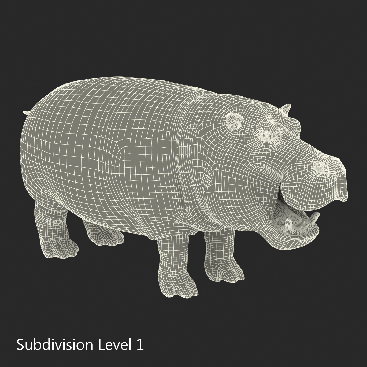 Hippopotamus Rigged 3D model