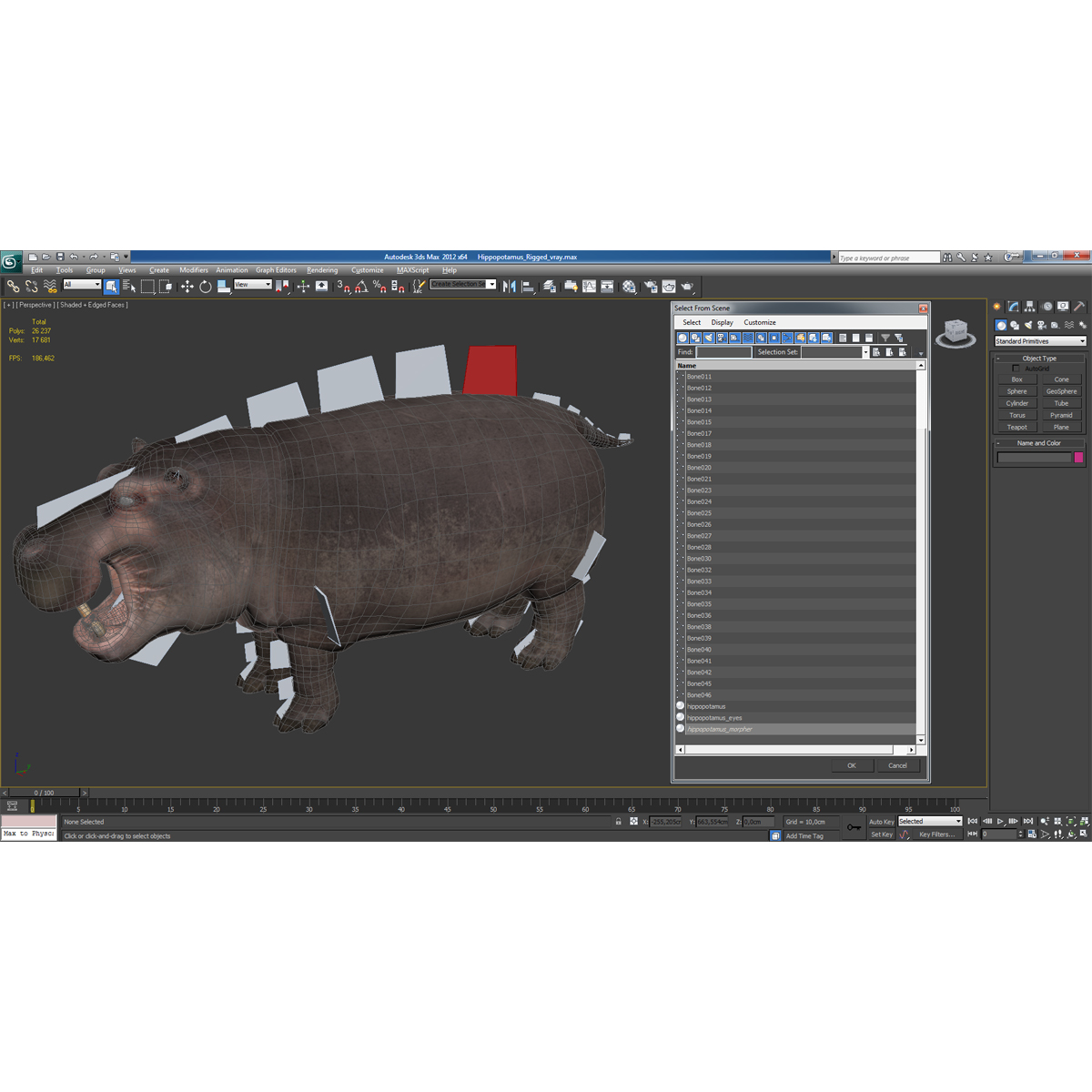 Hippopotamus Rigged 3D model