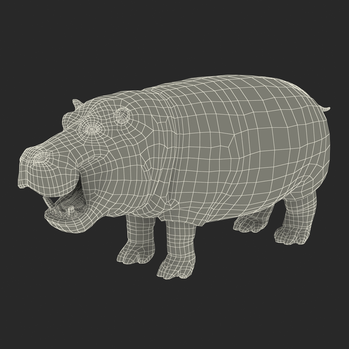 Hippopotamus Rigged 3D model