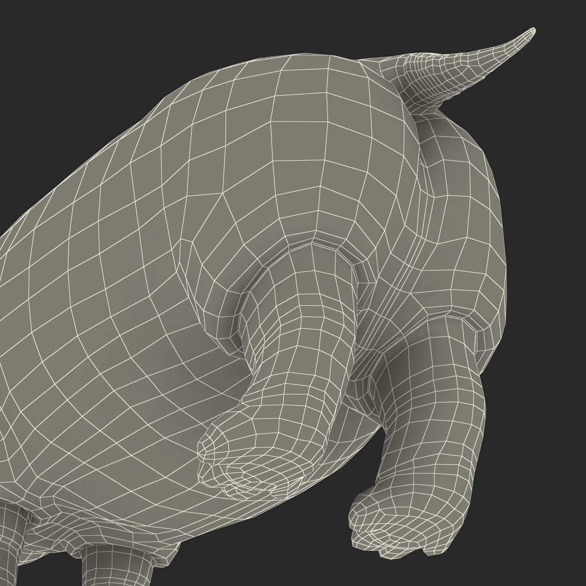 Hippopotamus Rigged 3D model