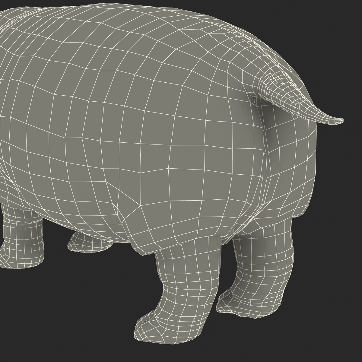 Hippopotamus Rigged 3D model