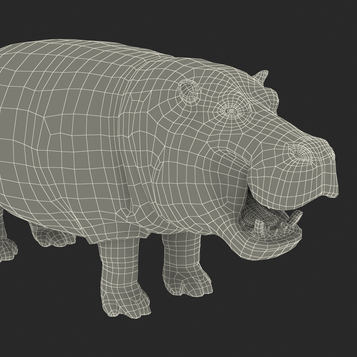 Hippopotamus Rigged 3D model