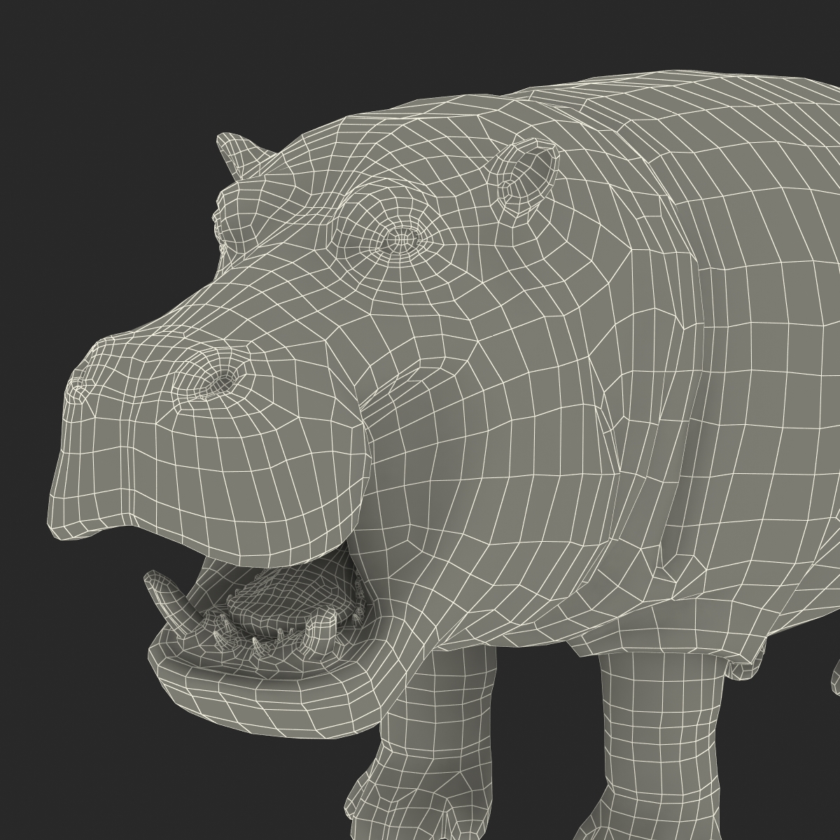 Hippopotamus Rigged 3D model