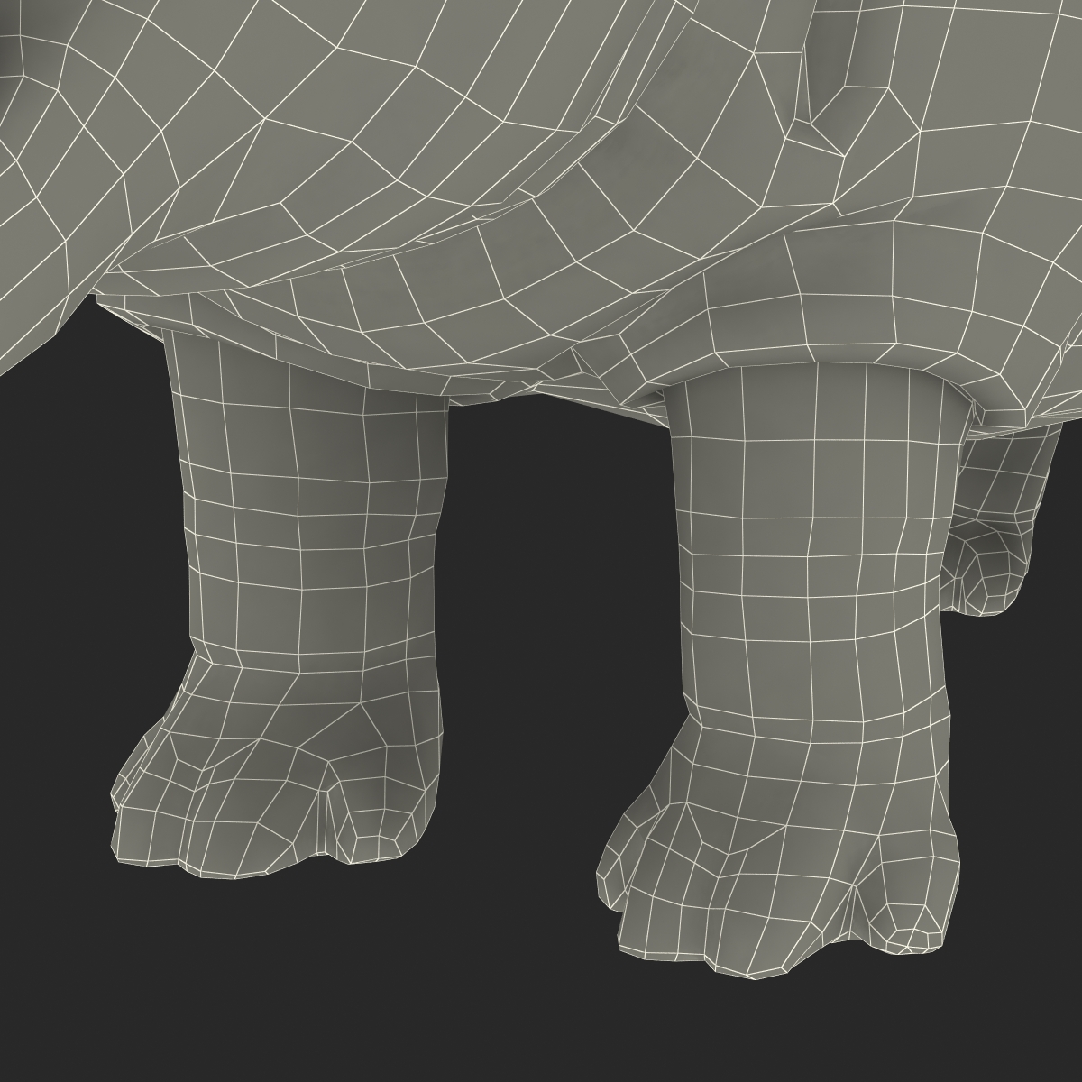 Hippopotamus 2 3D model