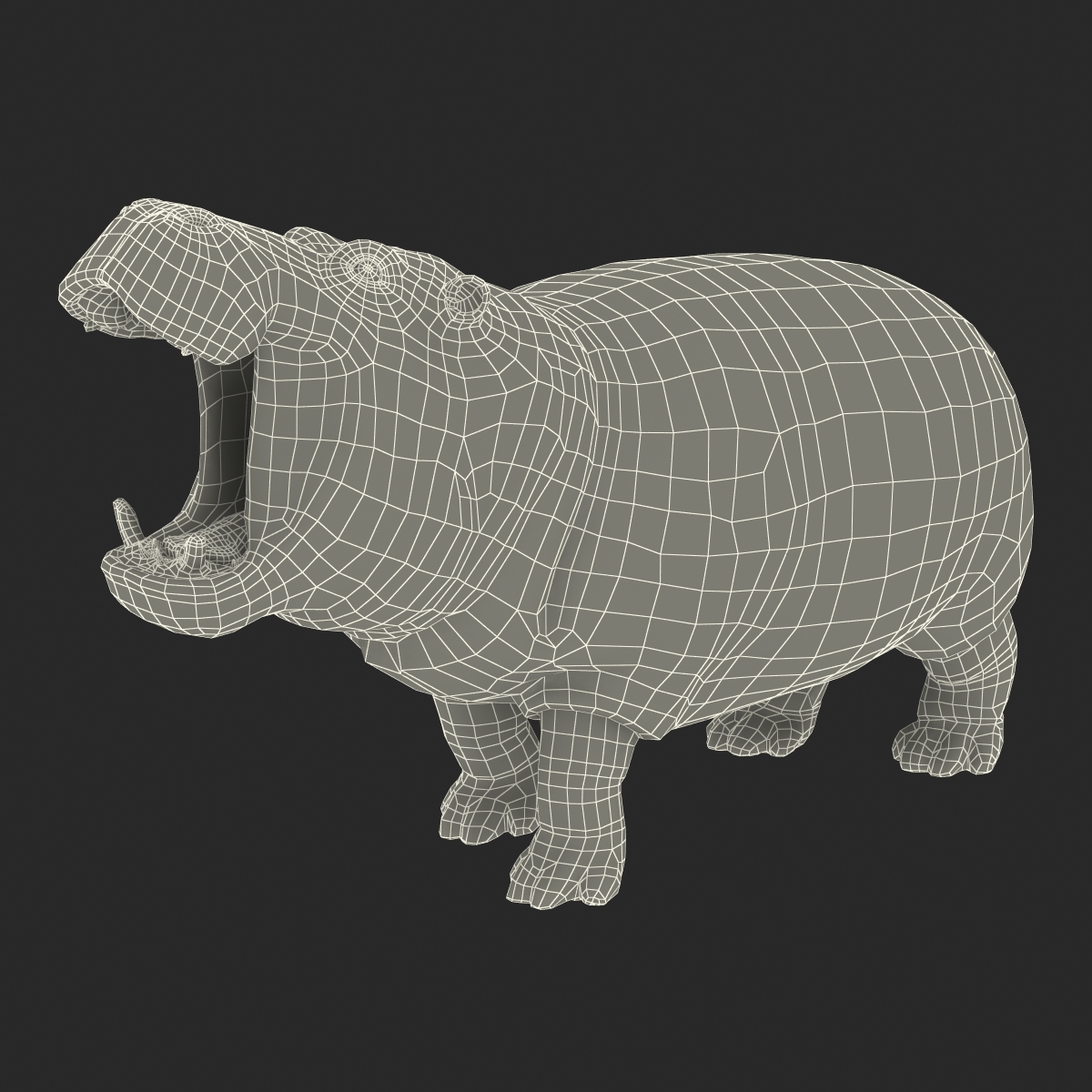 Hippopotamus Pose 2 3D model