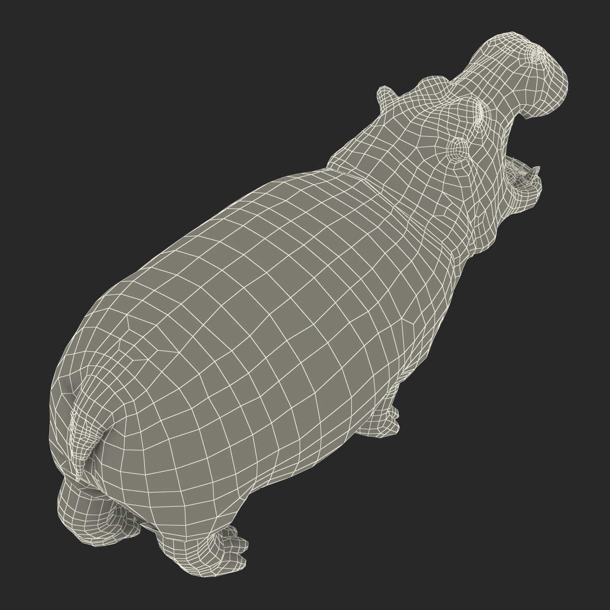 Hippopotamus Pose 2 3D model