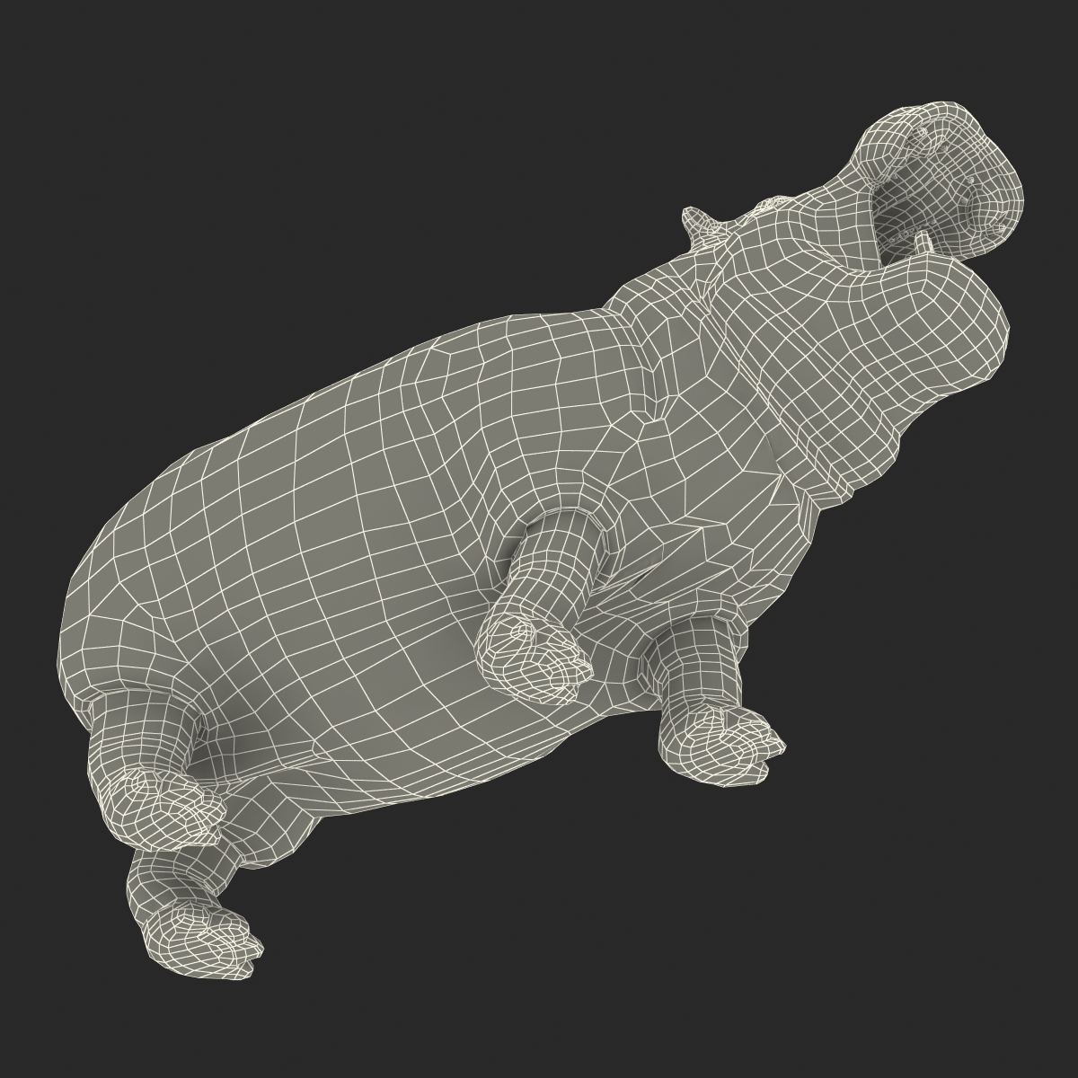 Hippopotamus Pose 2 3D model