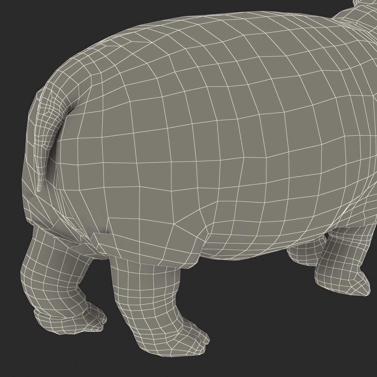 Hippopotamus Pose 2 3D model