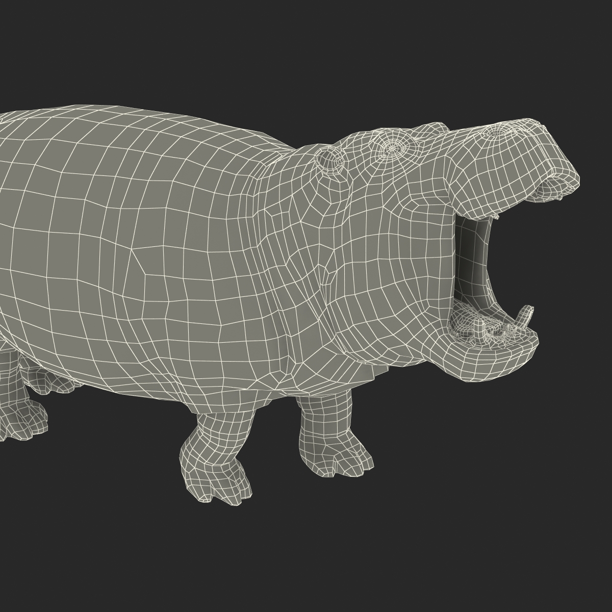 Hippopotamus Pose 2 3D model