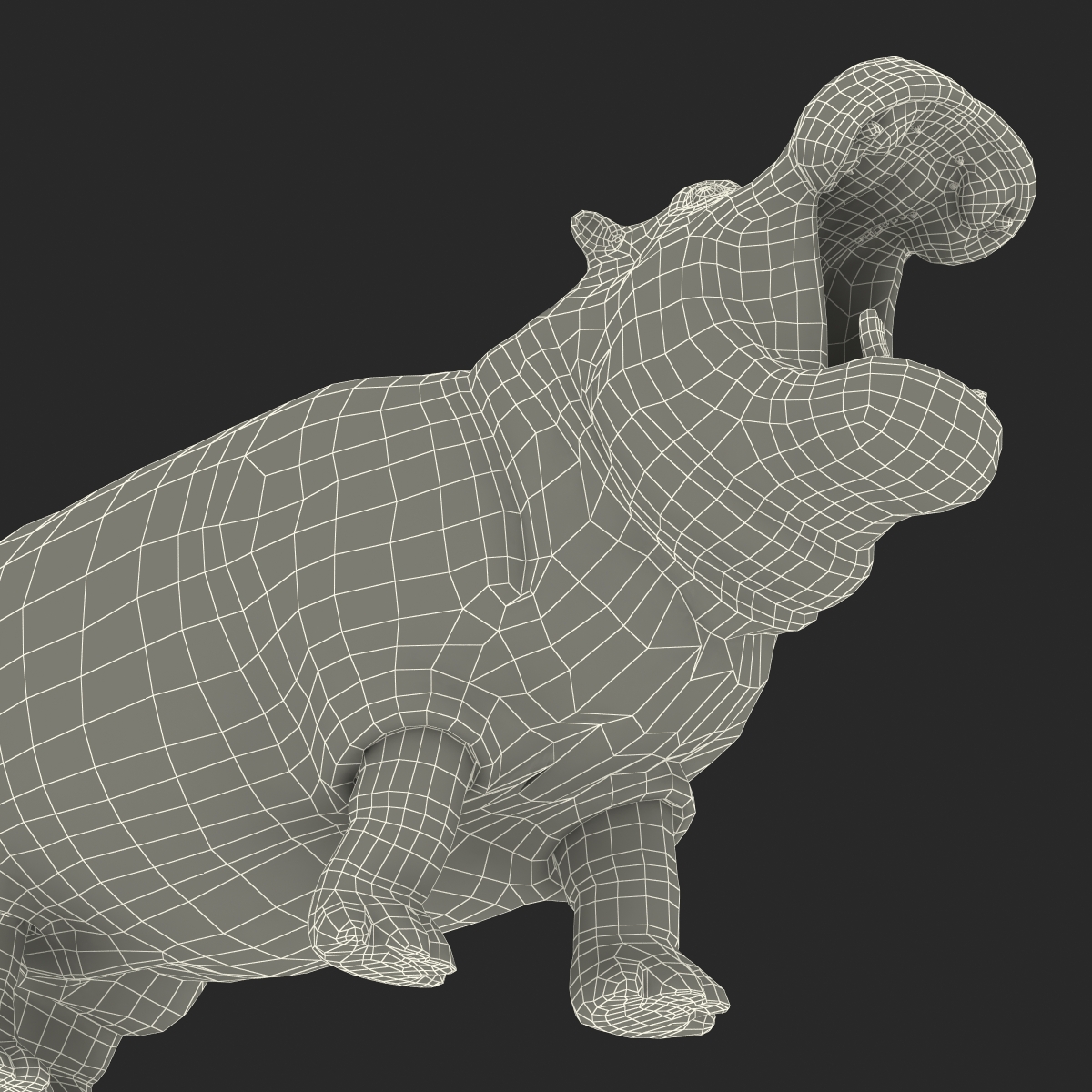 Hippopotamus Pose 2 3D model