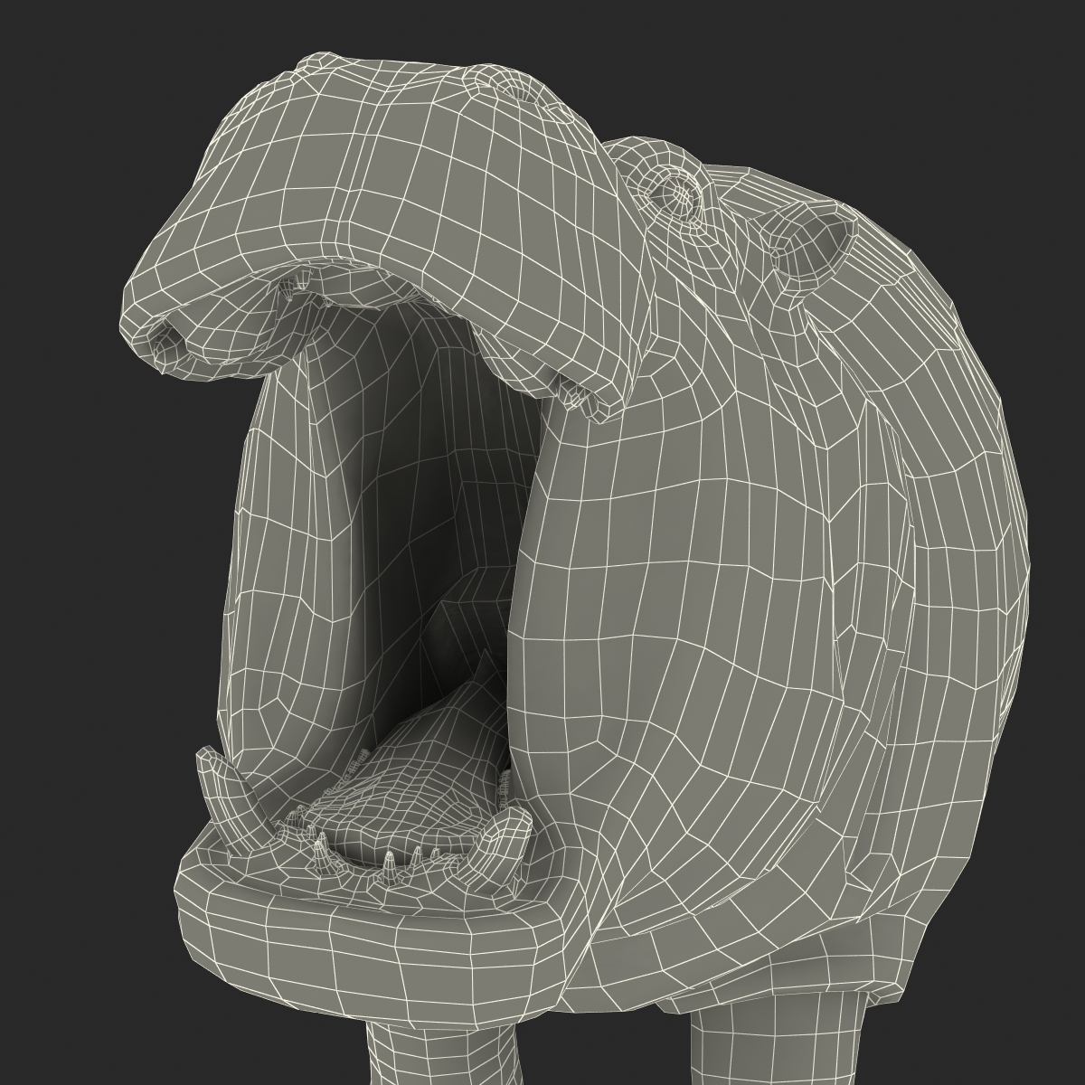 Hippopotamus Pose 2 3D model