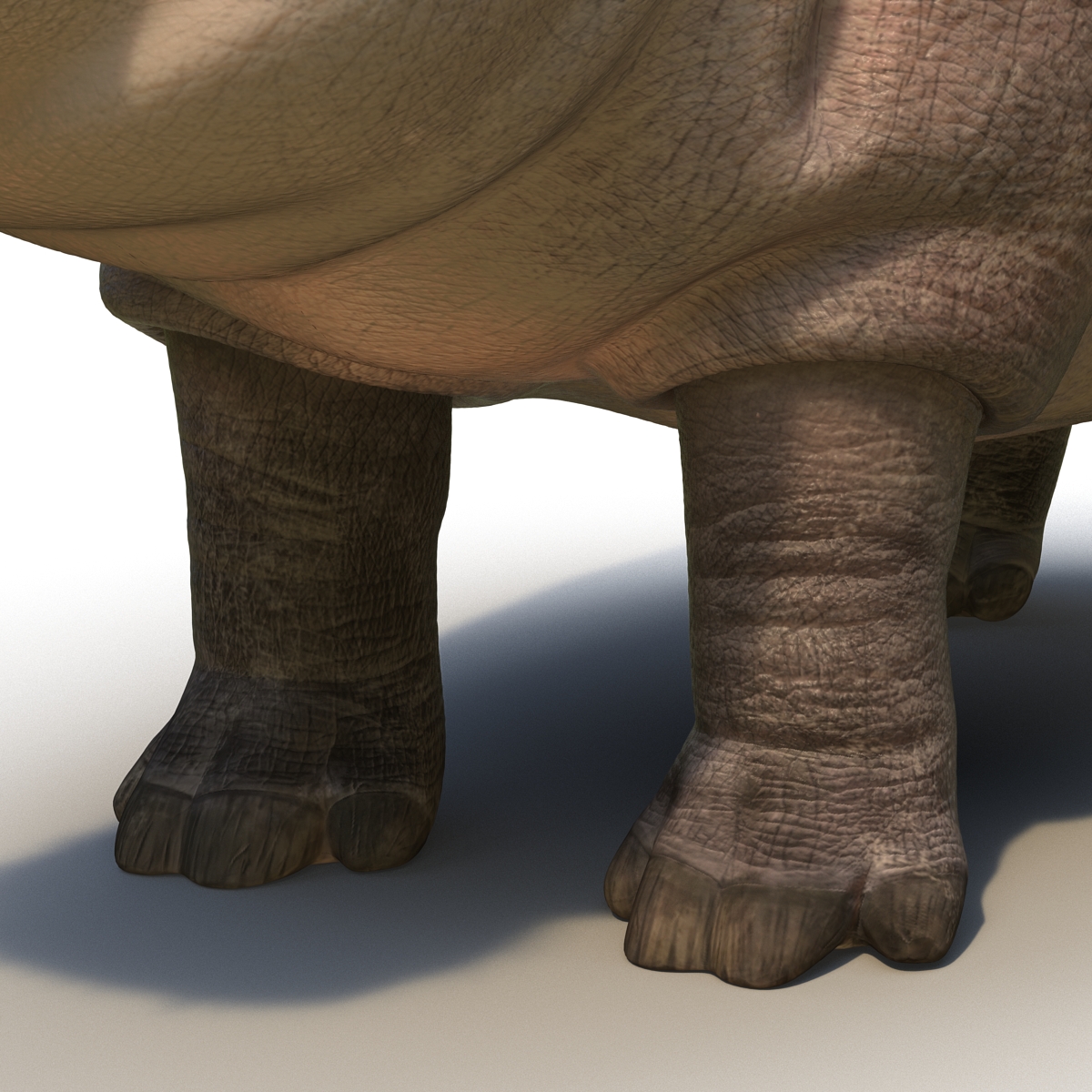 3D Hippopotamus with Fur