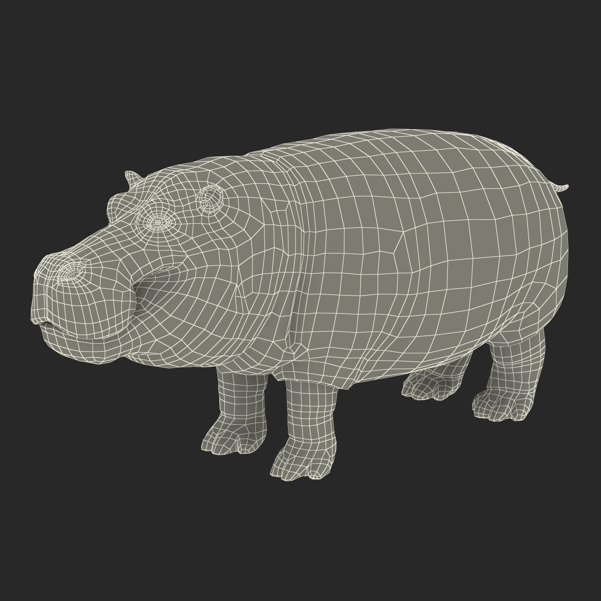 3D Hippopotamus with Fur