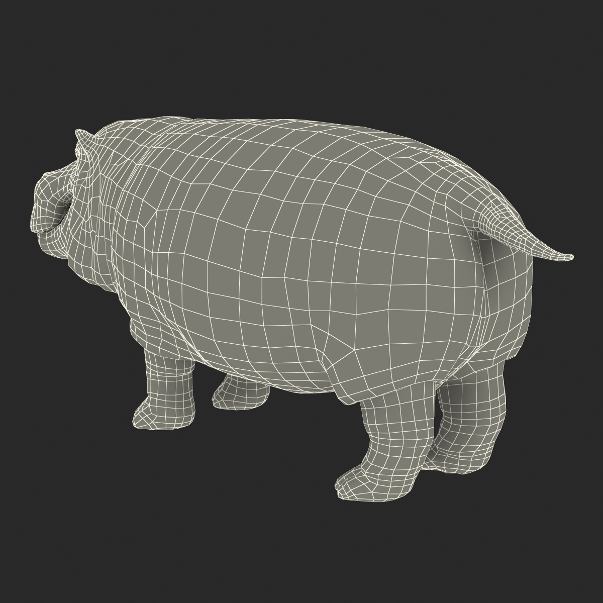 3D Hippopotamus with Fur