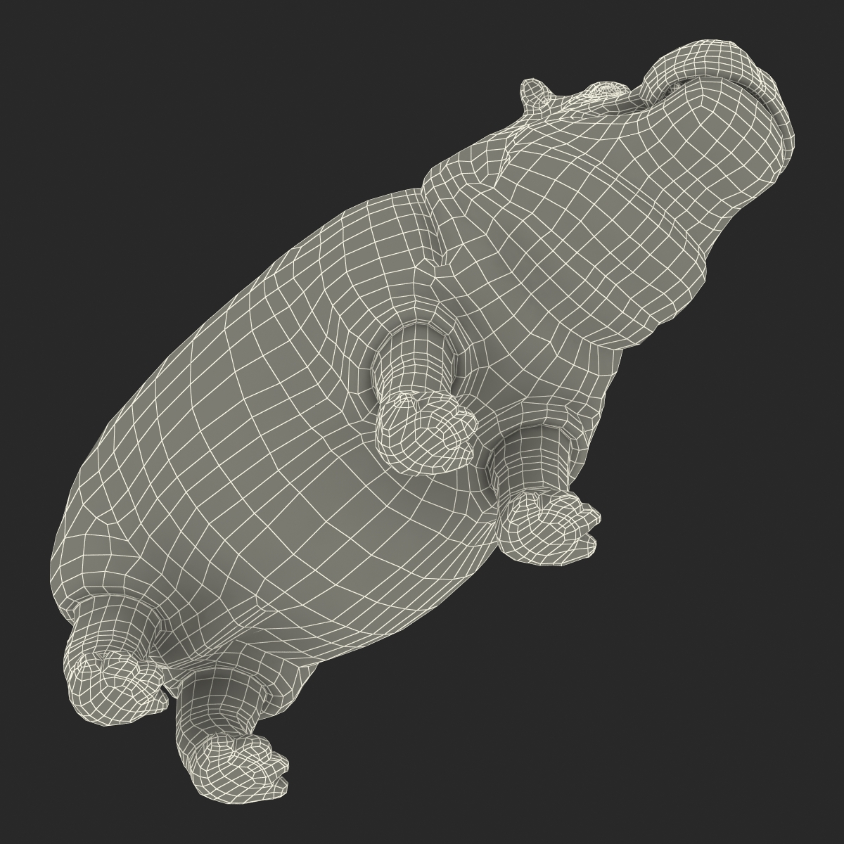 3D Hippopotamus with Fur