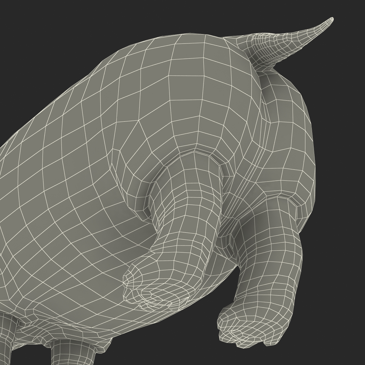 3D Hippopotamus with Fur