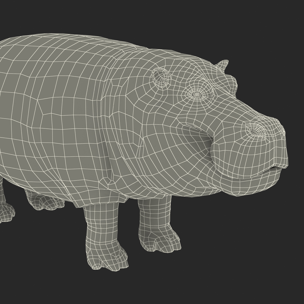 3D Hippopotamus with Fur