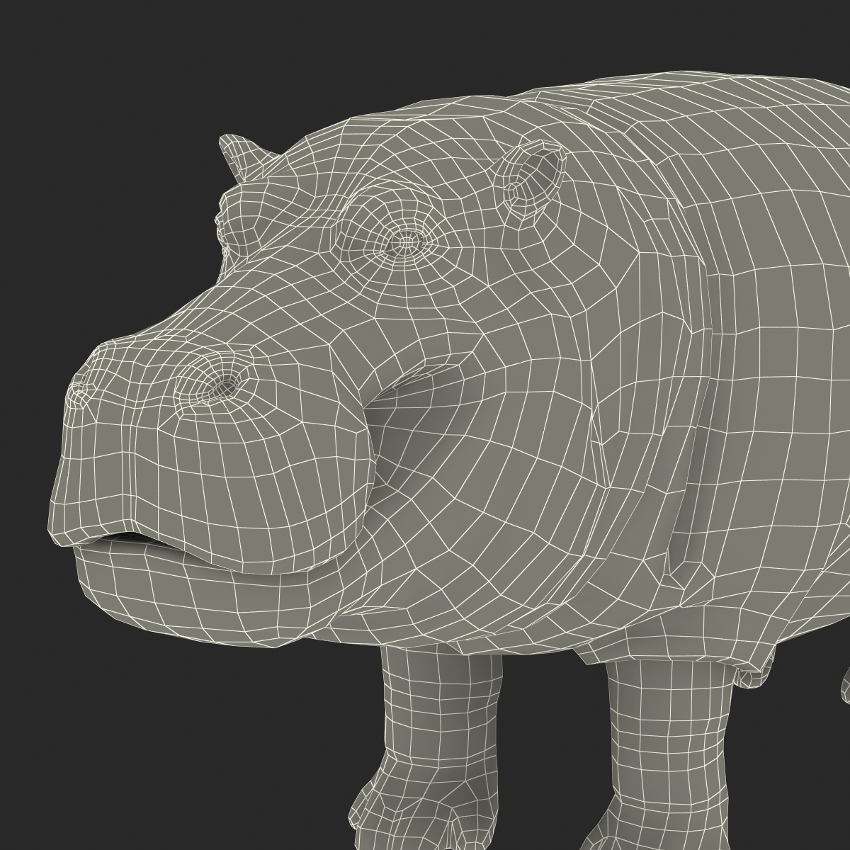 3D Hippopotamus with Fur