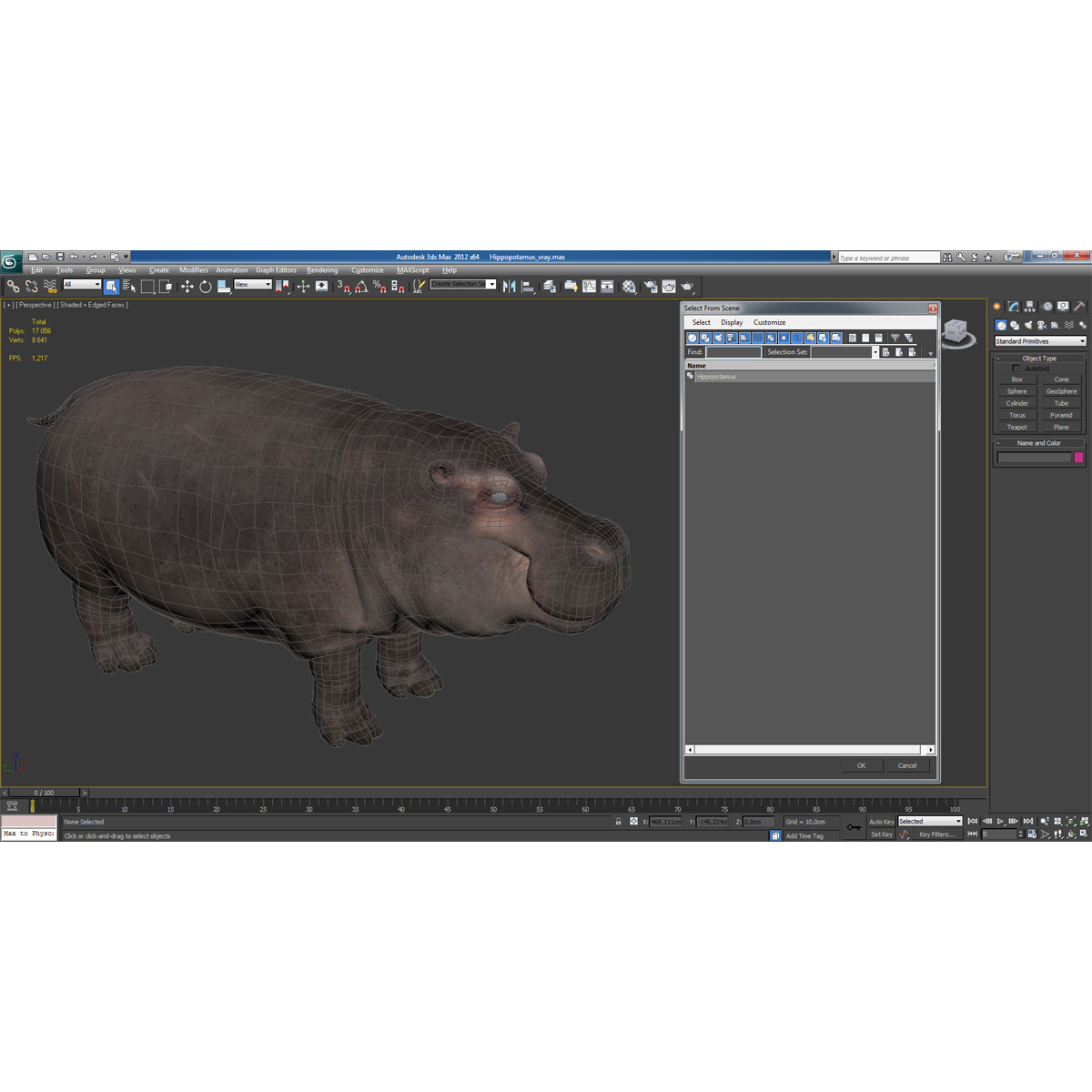 Hippopotamus 3D