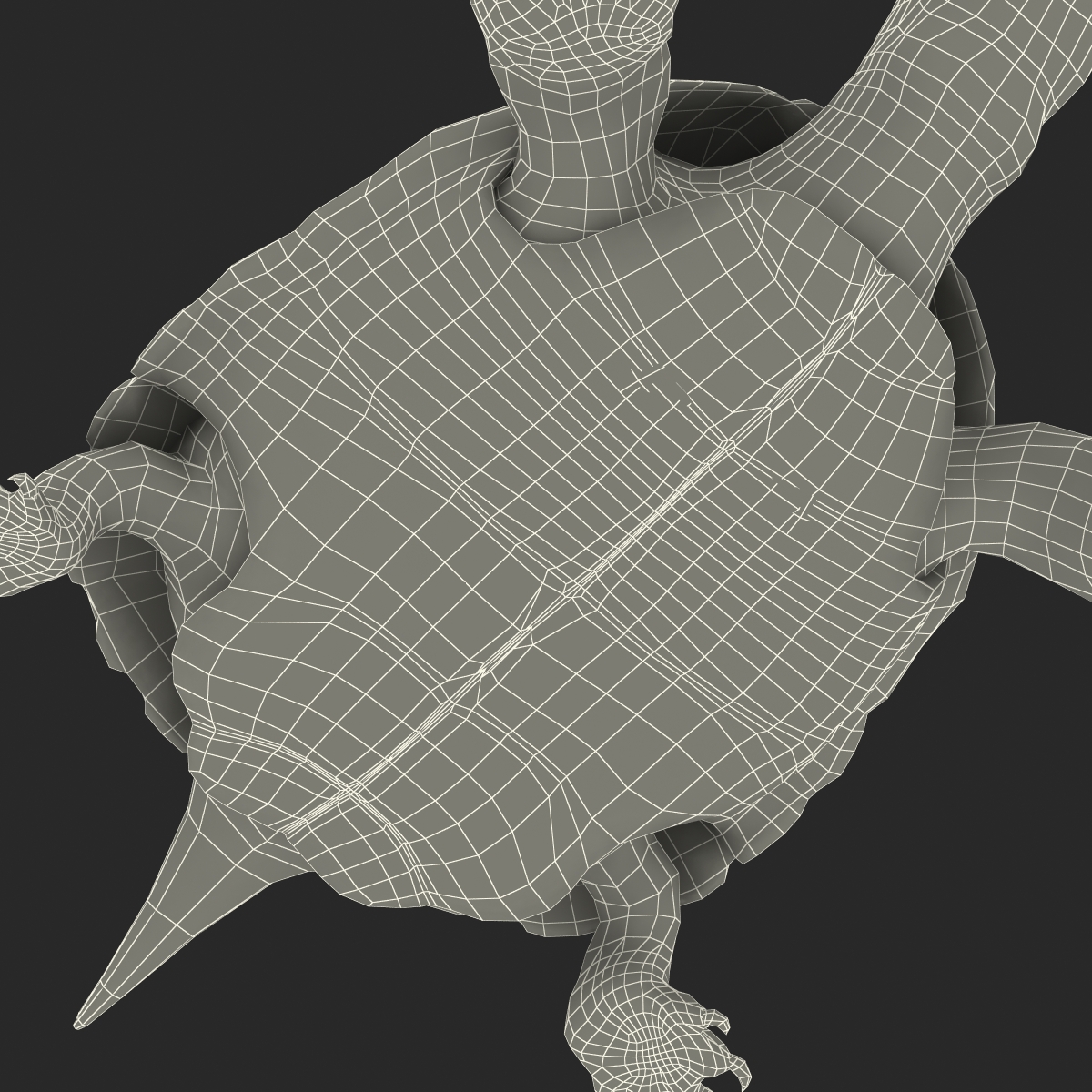 European Pond Turtle Rigged 3D