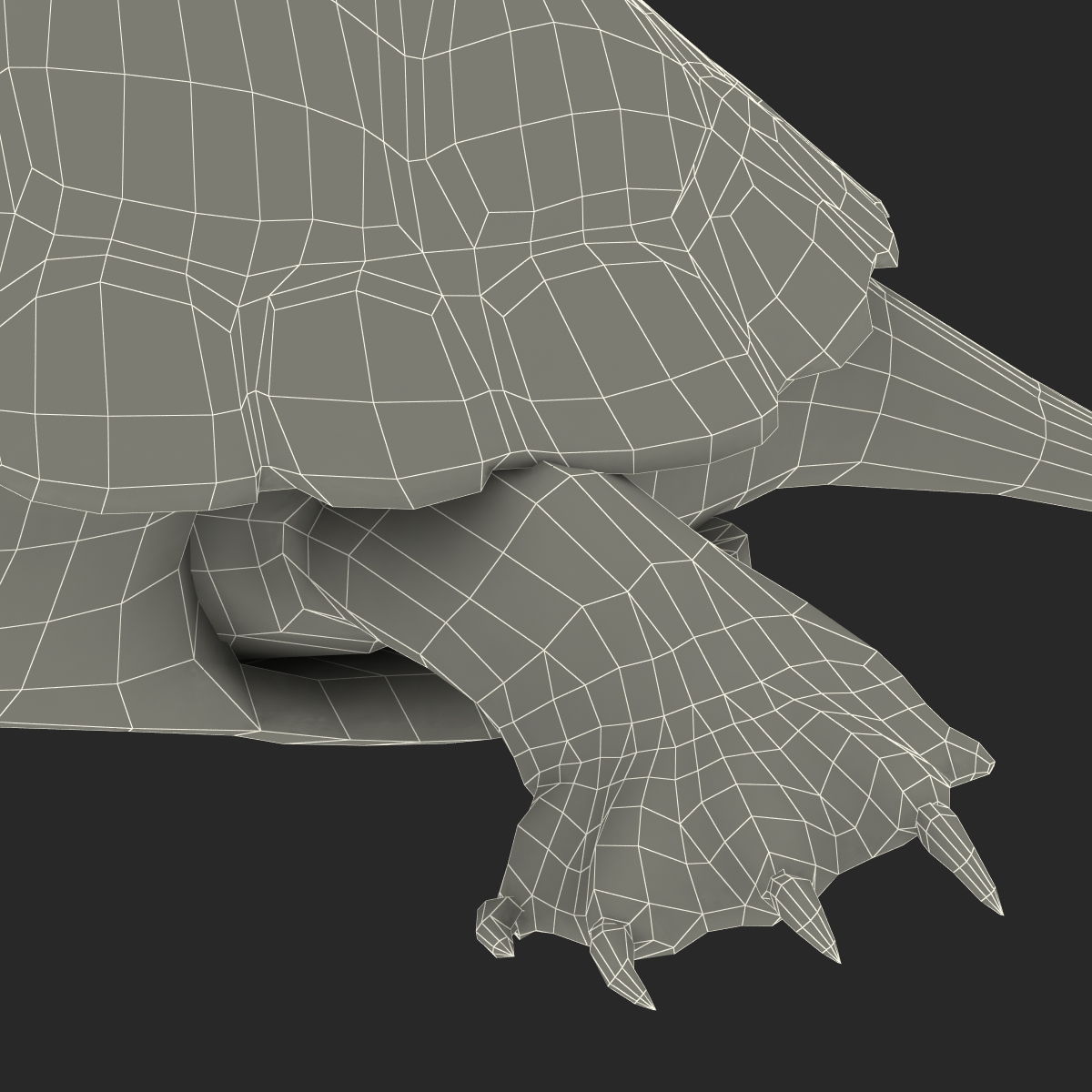 European Pond Turtle Rigged 3D