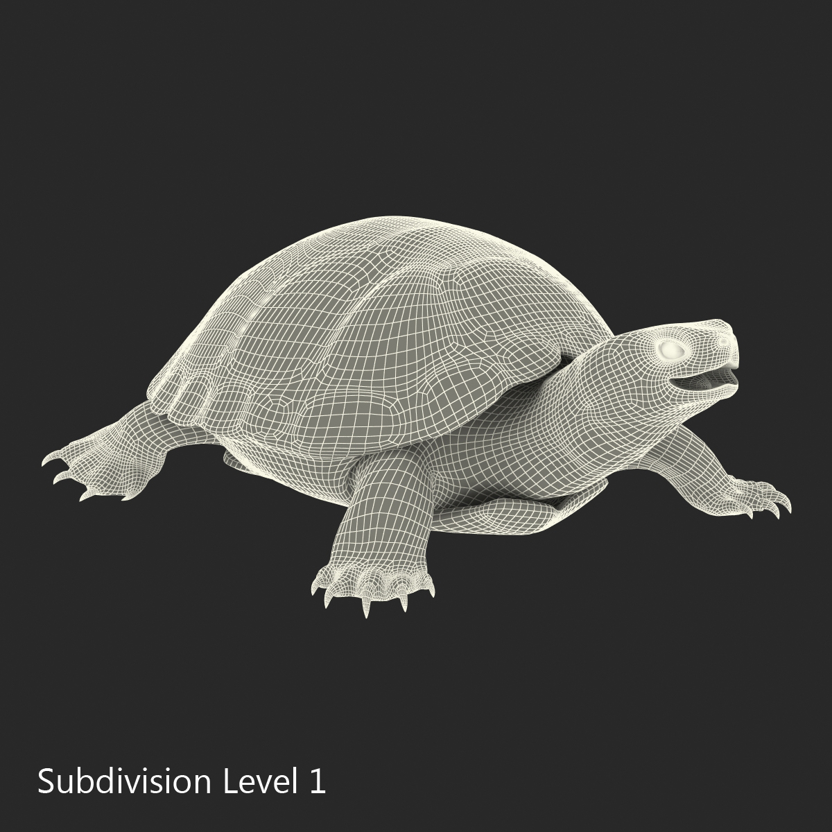 3D model European Pond Turtle