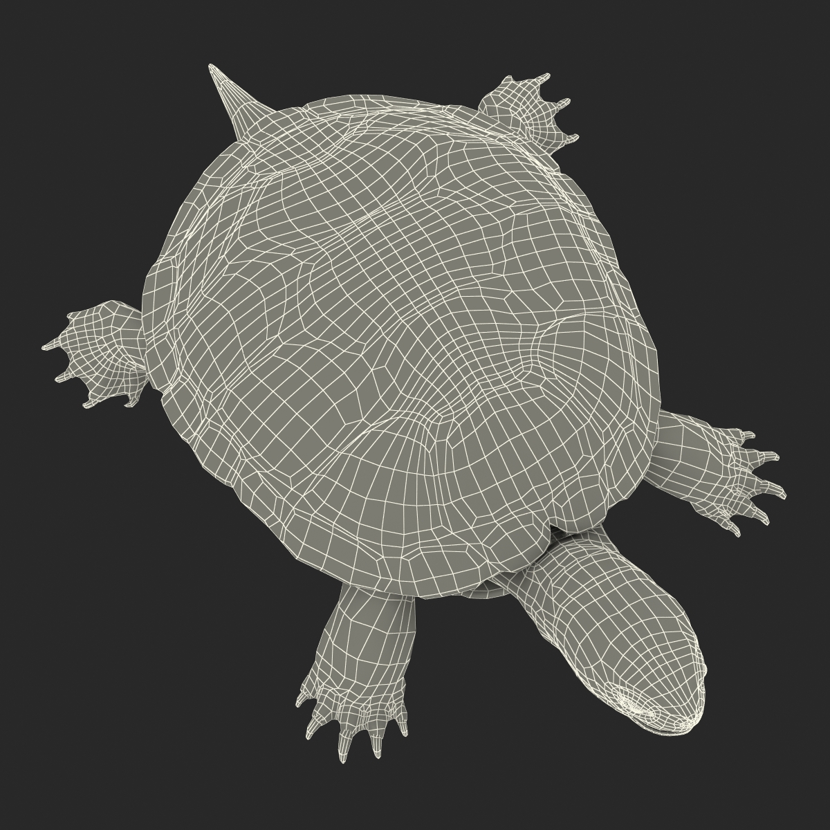 3D model European Pond Turtle