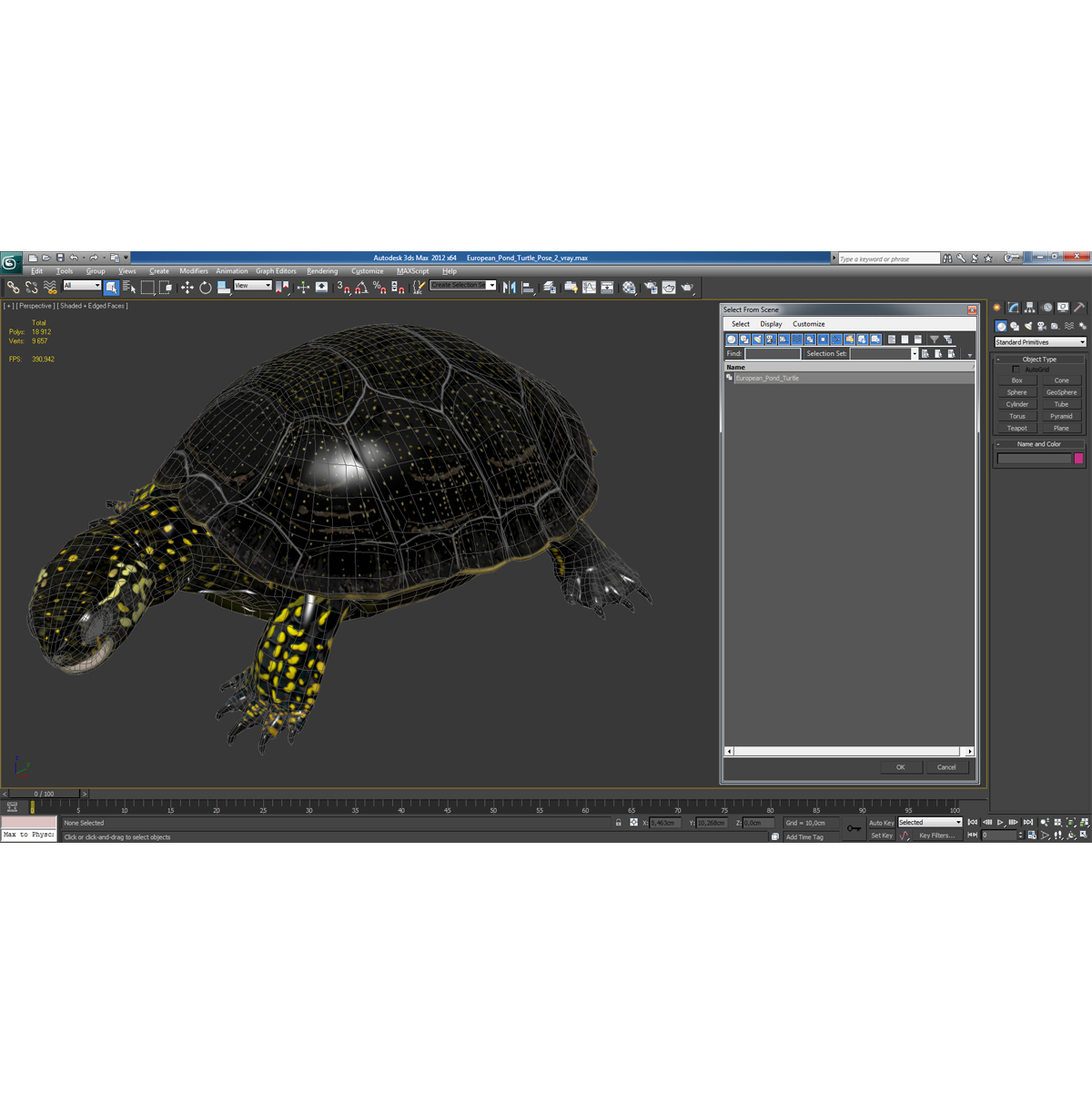 European Pond Turtle Pose 2 3D