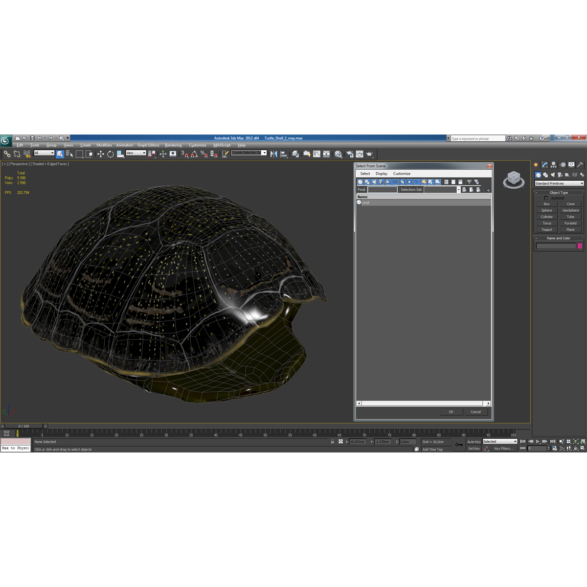 Turtle Shell 2 3D model