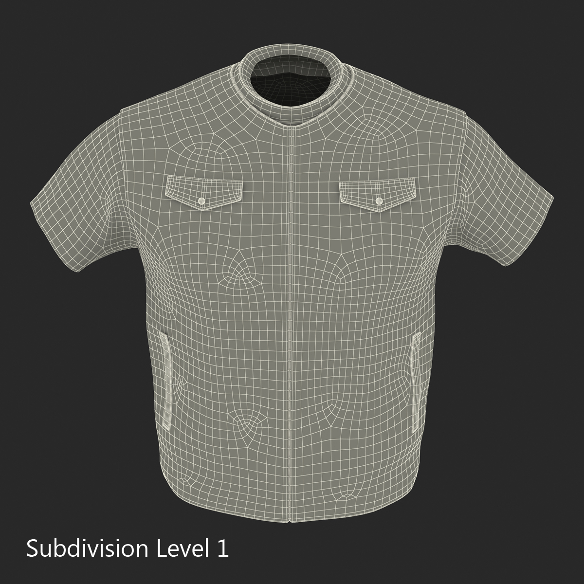 3D Biker Vest Generic model