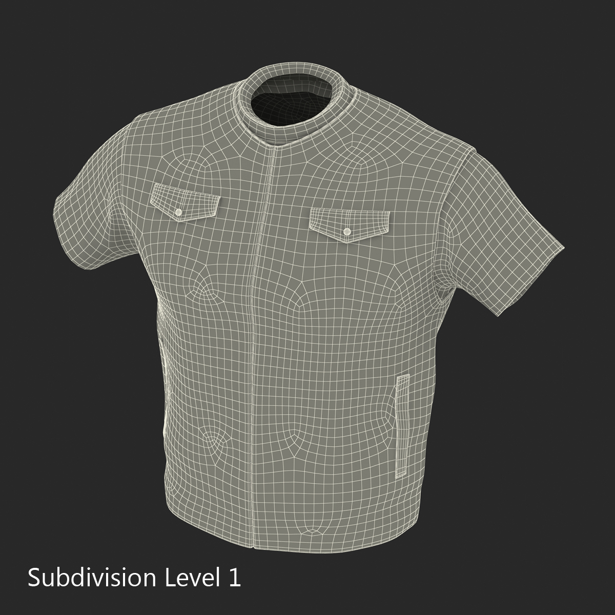 3D model Biker Vest Generic 2