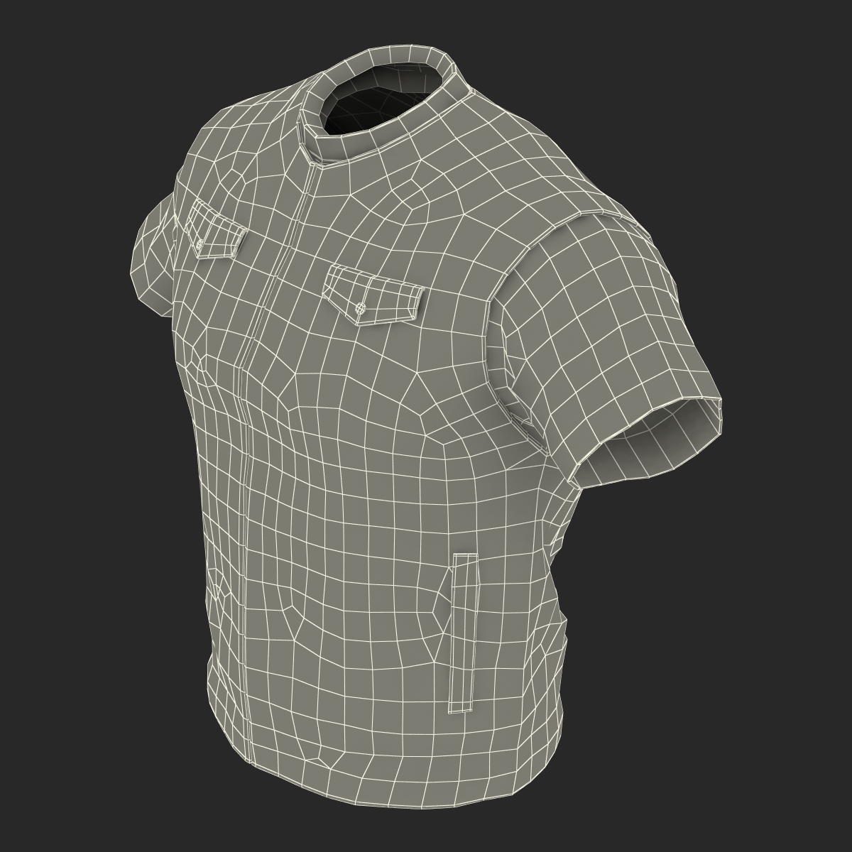 3D model Biker Vest Generic 2