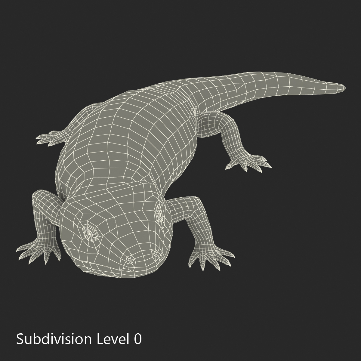 3D model Blue Tongued Skink Pose 2