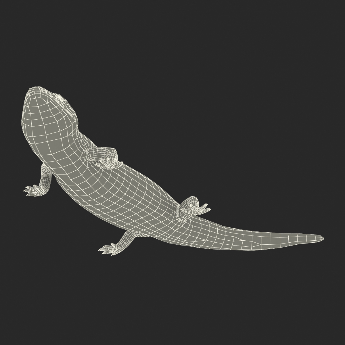 3D model Blue Tongued Skink Pose 2