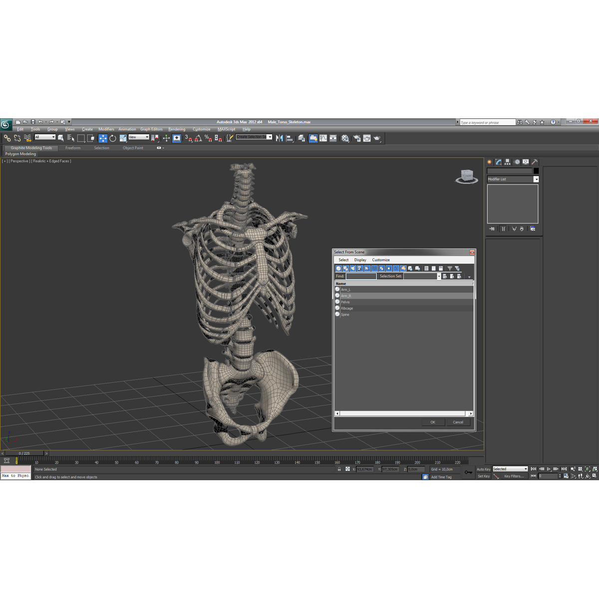 Male Torso Skeleton 3D model