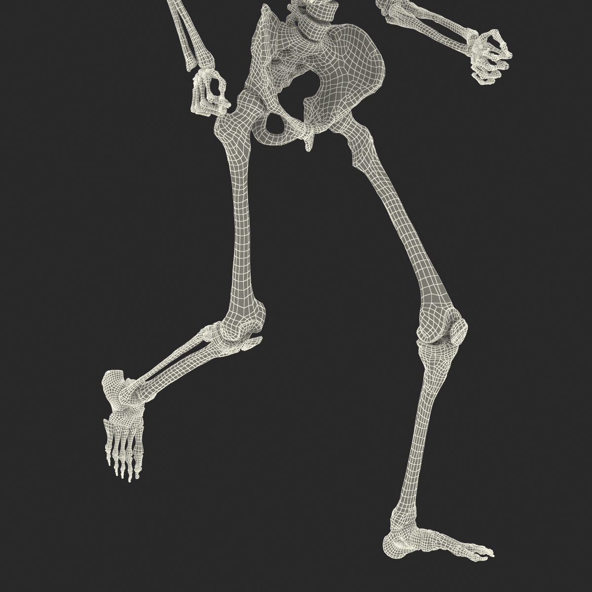 3D Human Male Skeleton Pose 3