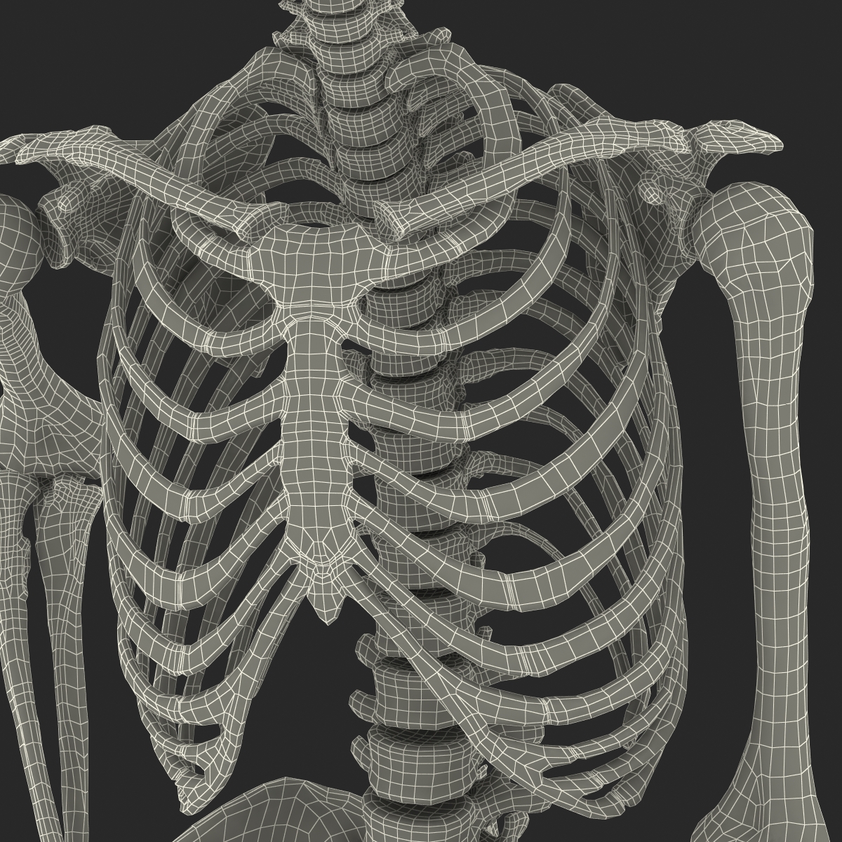 3D Human Male Skeleton Pose 3