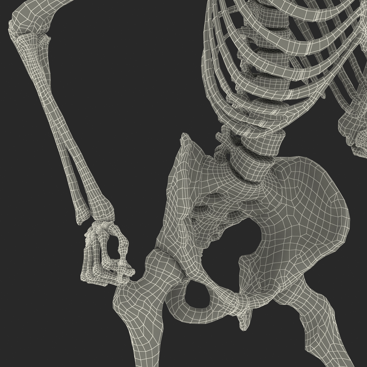 3D Human Male Skeleton Pose 3