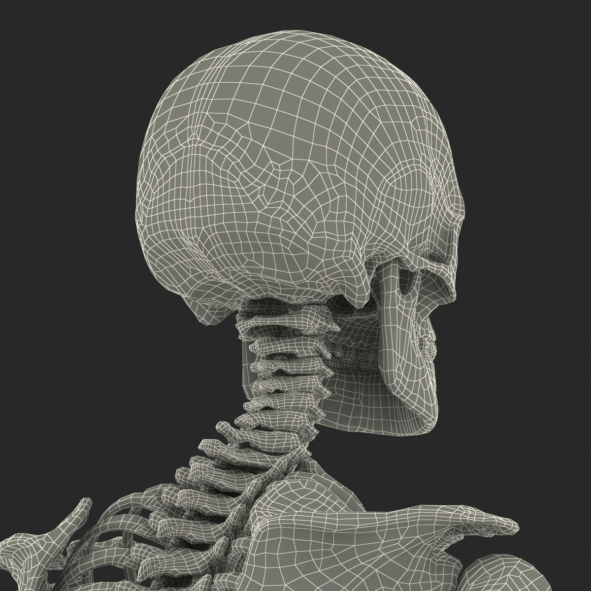 3D Human Male Skeleton Pose 3