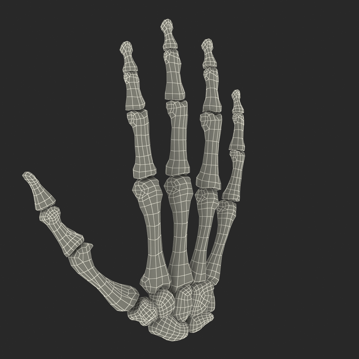 3D Human Hand Bones