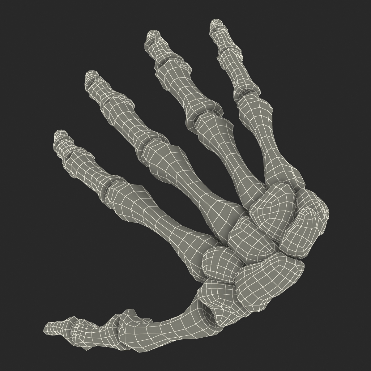 3D Human Hand Bones